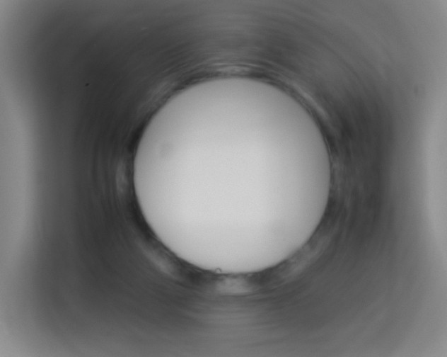 X0000114110114200910051246