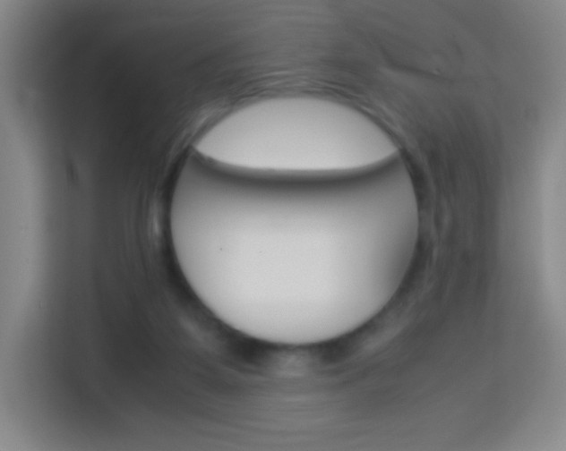 X0000114110115200910051246