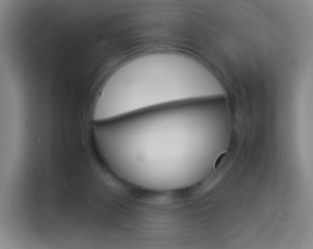 X0000114110116200910051246