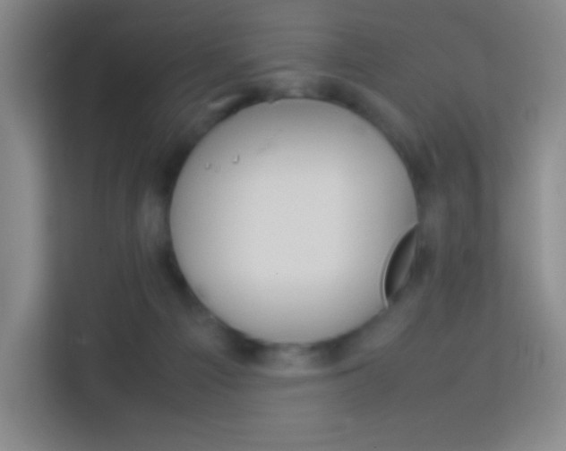 X0000114110121200910051246