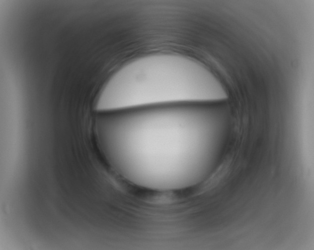 X0000114110124200910051246