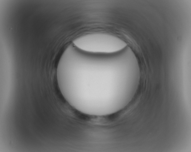 X0000114110125200910051246