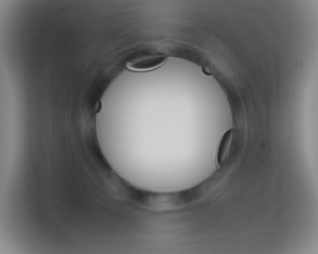 X0000114110129200910051246