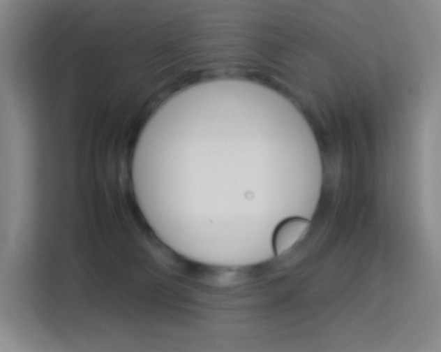 X0000114110130200910051246