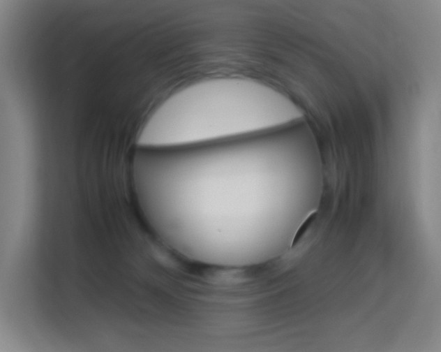 X0000114110132200910051246