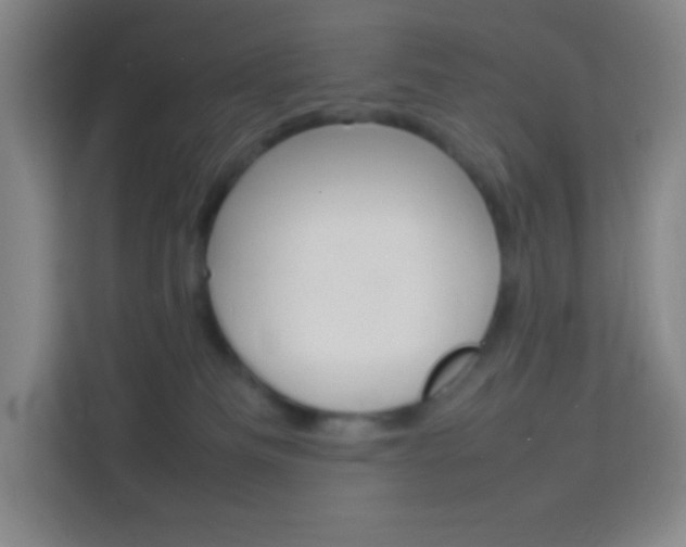 X0000114110133200910051246