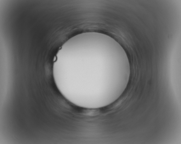 X0000114110135200910051246