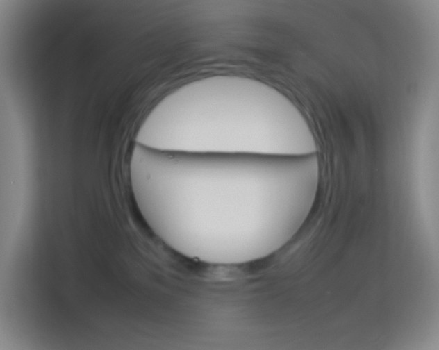 X0000114110137200910051246