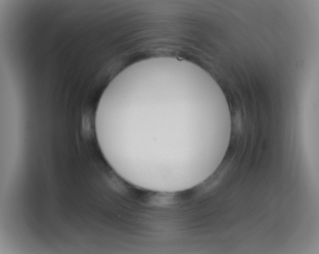 X0000114110138200910051246