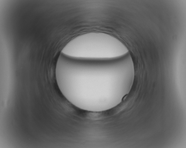 X0000114110139200910051246