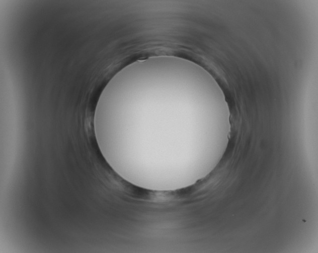X0000114110141200910051246