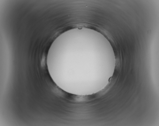 X0000114110142200910051246