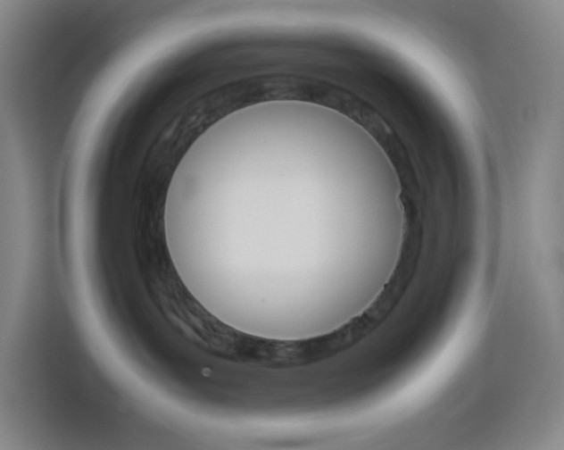 X0000114110143200910051246