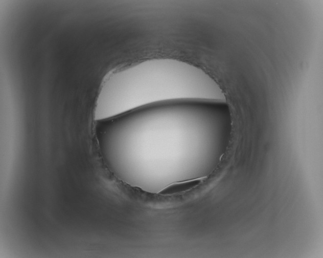 X0000114110144200910051246
