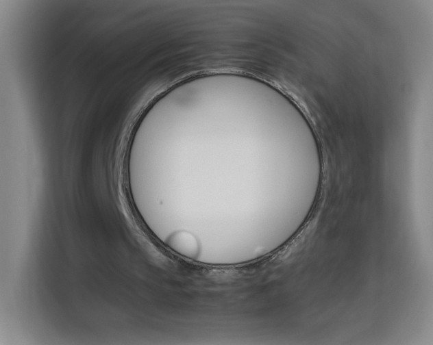 X0000114110145200910051245