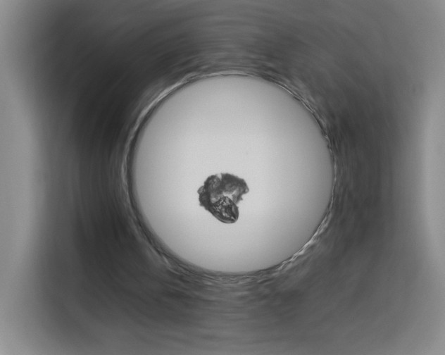 X0000114110146200910051245