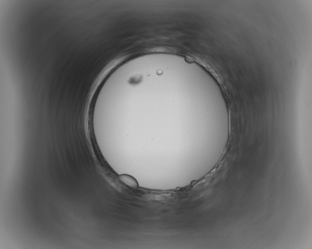 X0000114110147200910051245