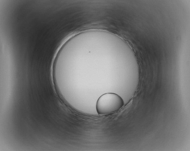 X0000114110148200910051245