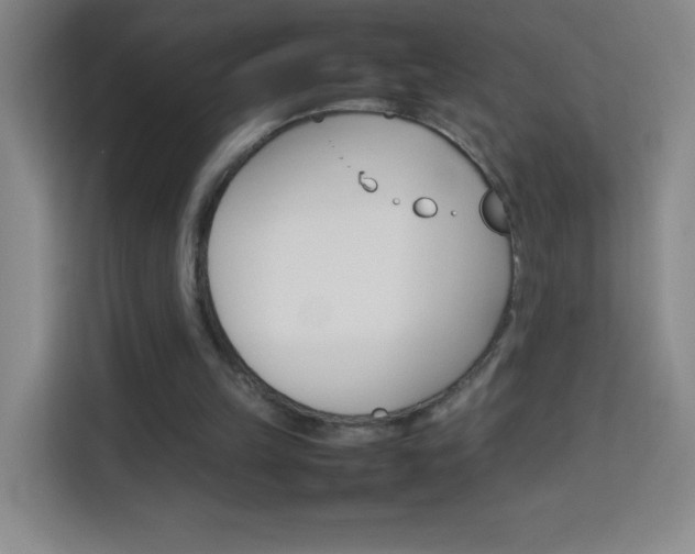 X0000114110149200910051245