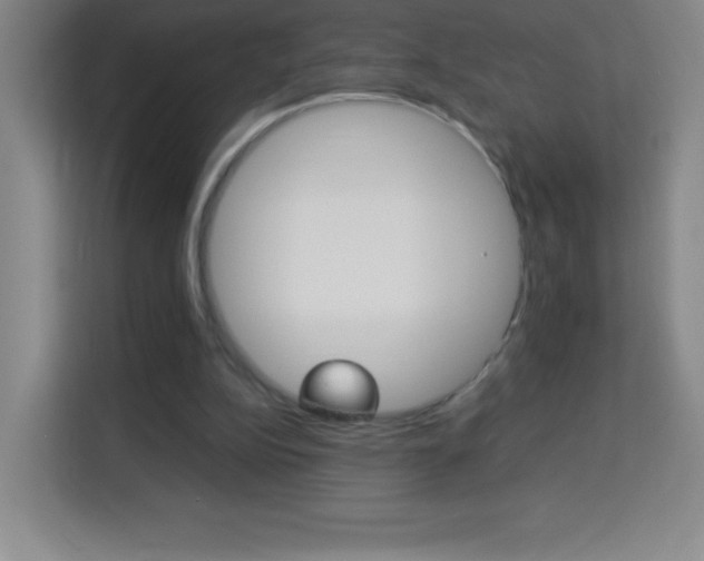 X0000114110152200910051246