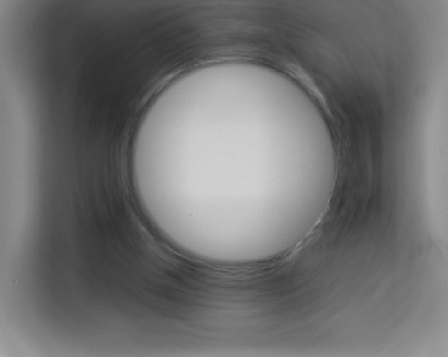 X0000114110154200910051246
