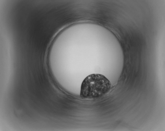 X0000114110156200910051246