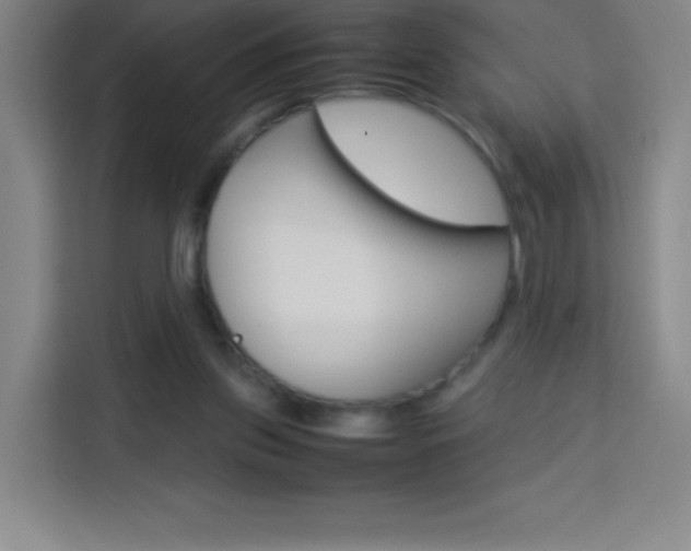 X0000114110157200910051246