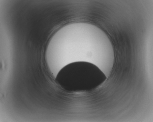 X0000114110164200910051246