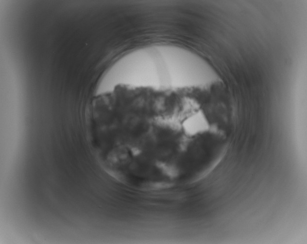 X0000114110165200910051246