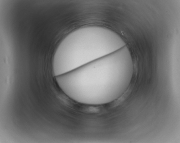 X0000114110166200910051246