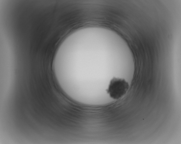X0000114110168200910051246