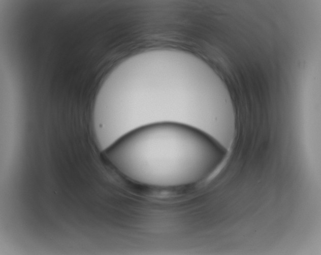 X0000114110174200910051246