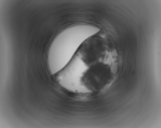 X0000114110179200910051246