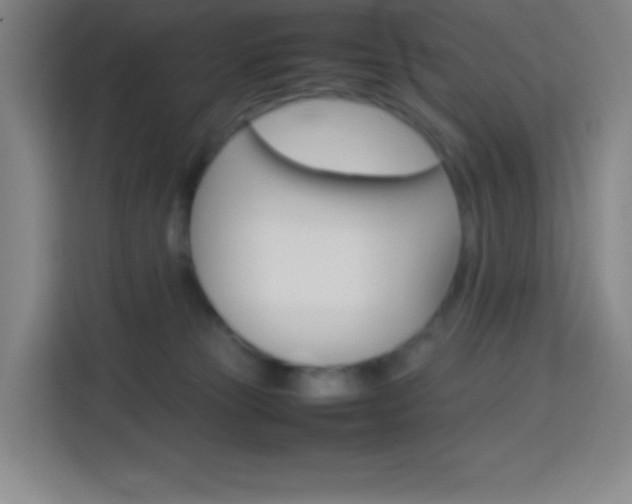 X0000114110181200910051246