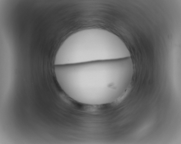 X0000114110182200910051246