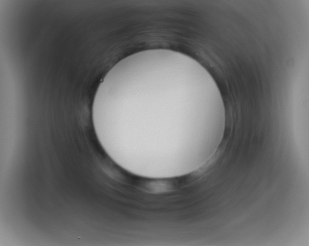 X0000114110183200910051246