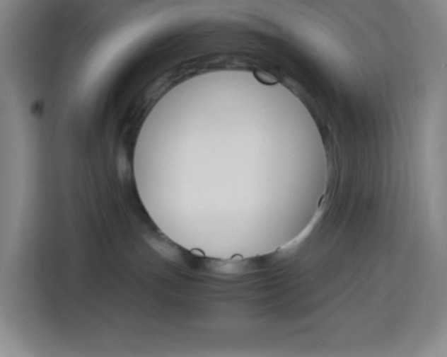 X0000114110191200910051246