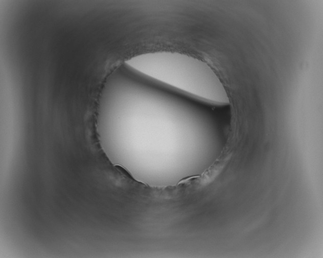 X0000114110192200910051246