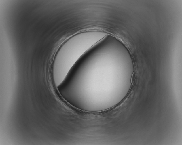 X0000114110193200910051245