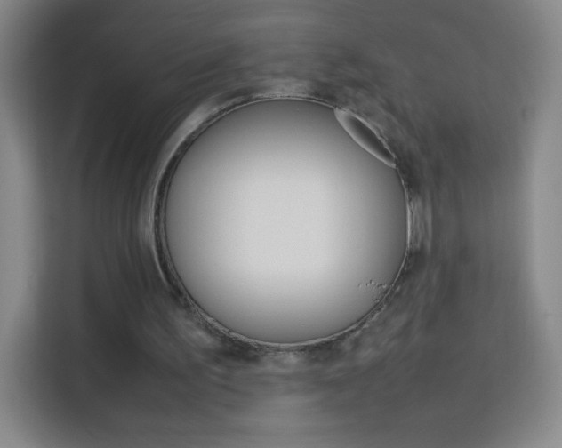 X0000114110195200910051245
