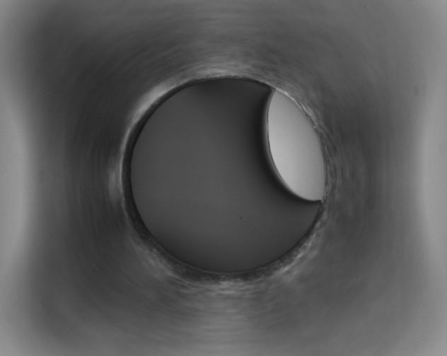 X0000114110196200910051245