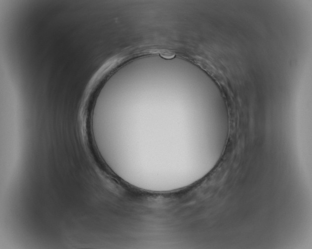 X0000114110197200910051245