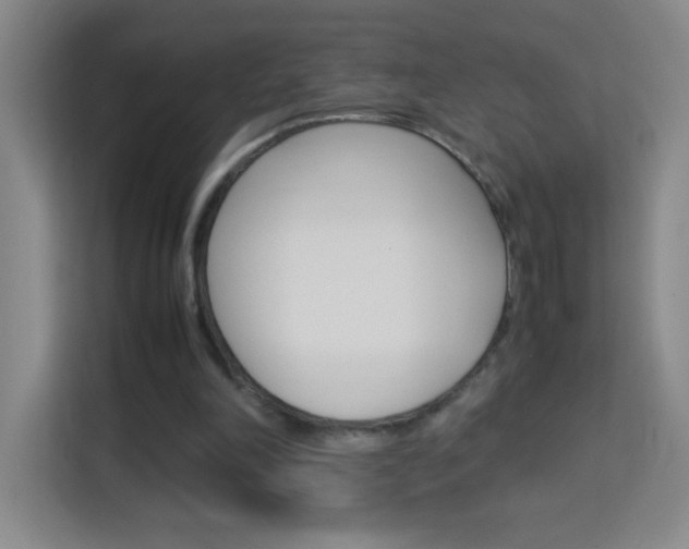 X0000114110198200910051245