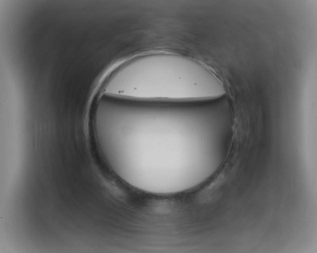 X0000114110200200910051245