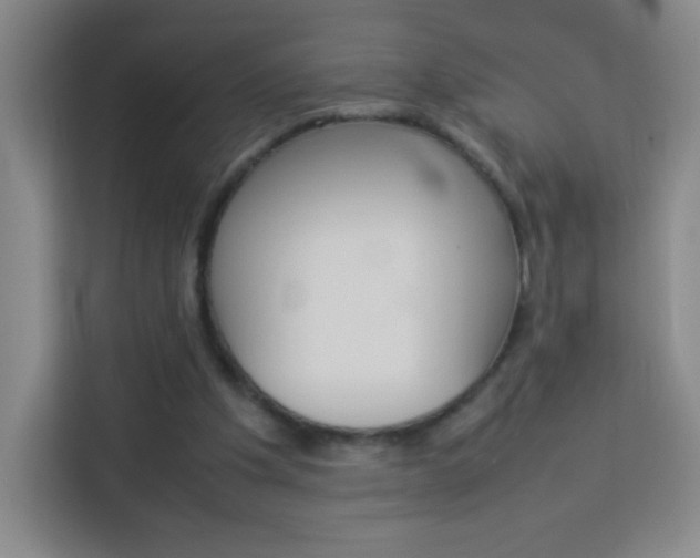 X0000114110201200910051245