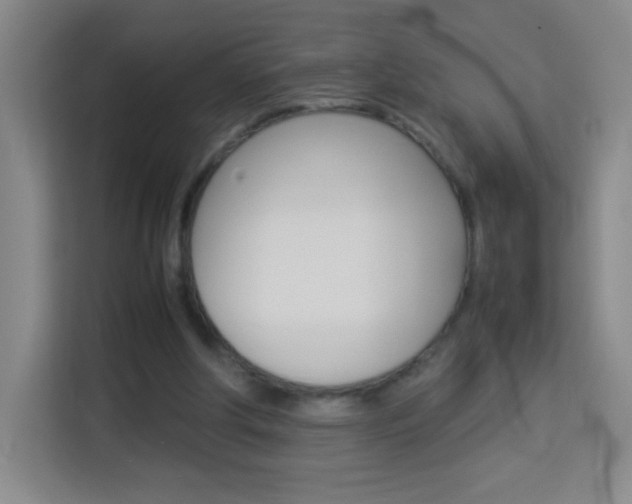 X0000114110202200910051245