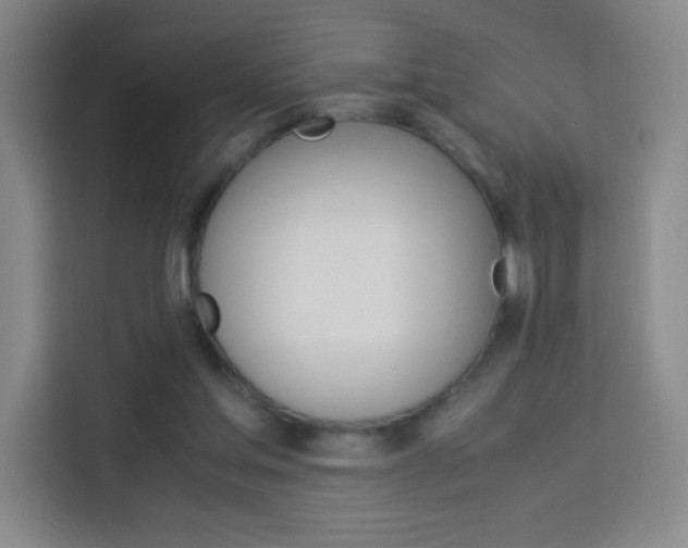 X0000114110205200910051245