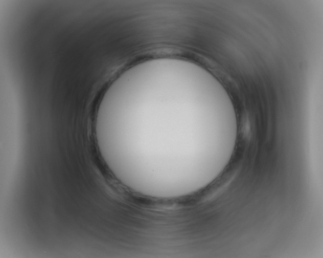 X0000114110206200910051245