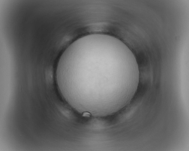 X0000114110207200910051245