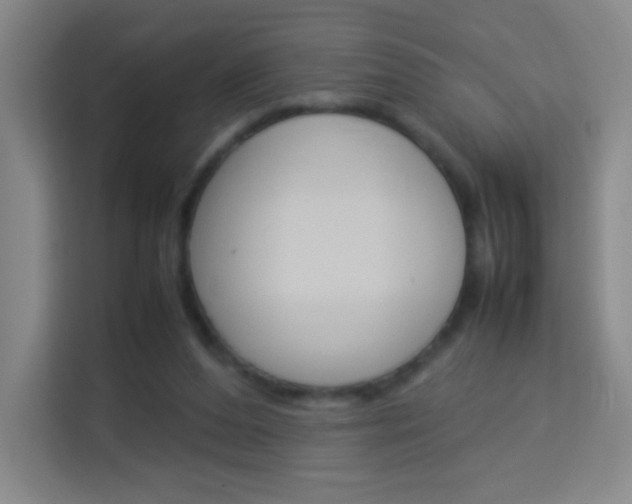 X0000114110208200910051245